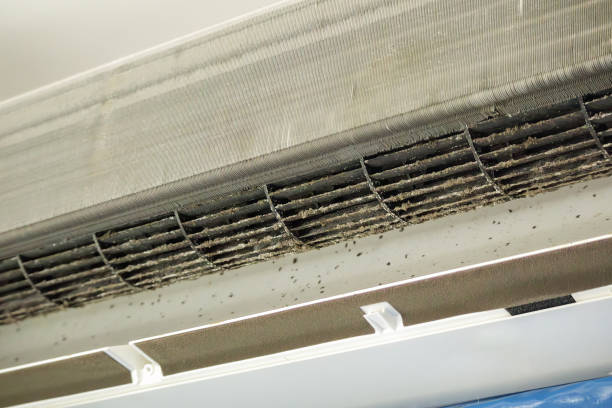 Best Air Vent Cleaning Services  in Tooele, UT